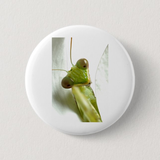 Badge Rond 5 Cm Mantids (Devant)