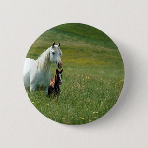 Badge Rond 5 Cm Mare et poulain dans l'herbe haute