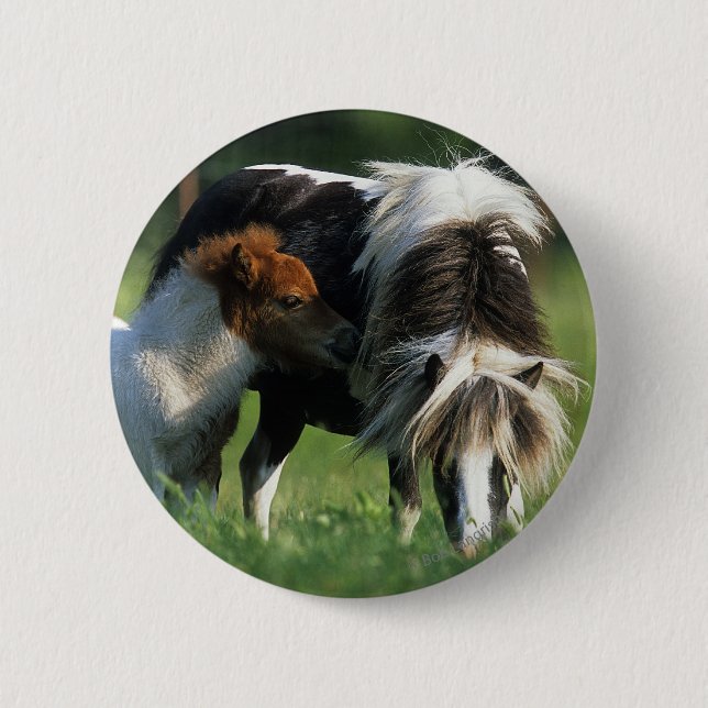 Badge Rond 5 Cm Mare et poulains miniatures 2 (Devant)