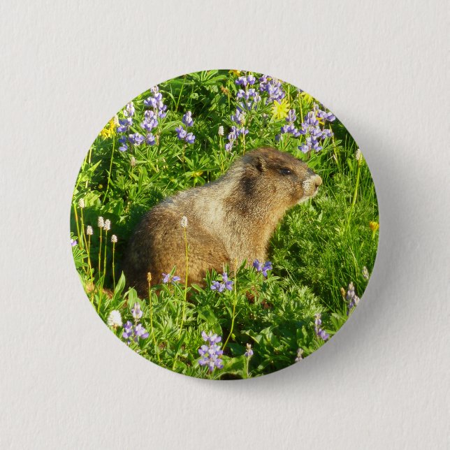 Badge Rond 5 Cm Marmot dans le Mont Rainier Fleurs sauvages (Devant)