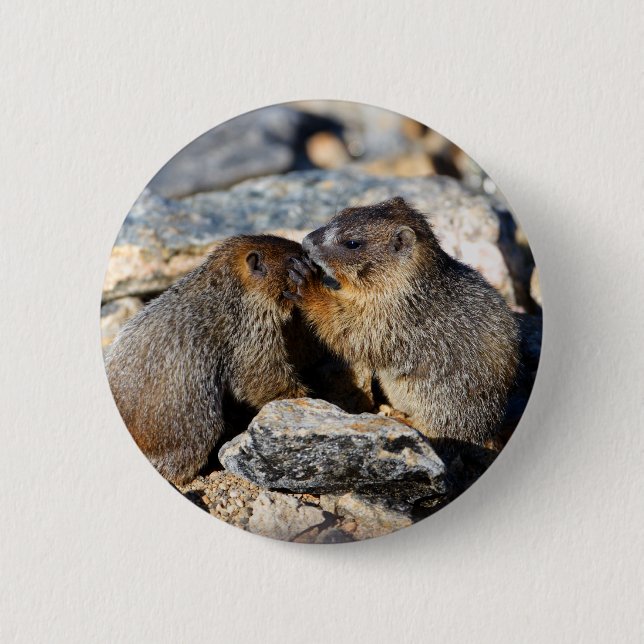 Badge Rond 5 Cm marmotte (Devant)