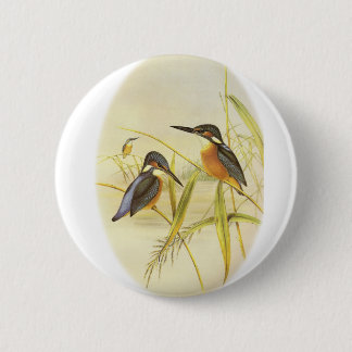 Badge Rond 5 Cm Martin-pêcheur commun