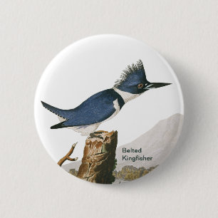 Badge Rond 5 Cm Martin-pêcheur de ceinture par John James Audubon