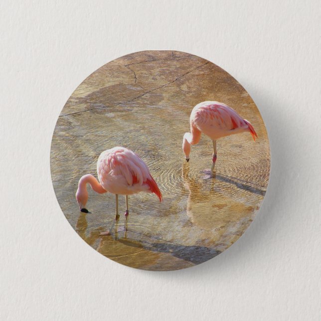Badge Rond 5 Cm Matin de Flamant rose (Devant)