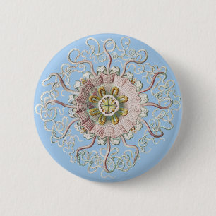 Badge Rond 5 Cm Méduse rose nautique d'Ernst Haeckel