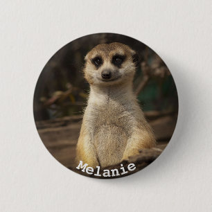 Badge Rond 5 Cm Meerkat