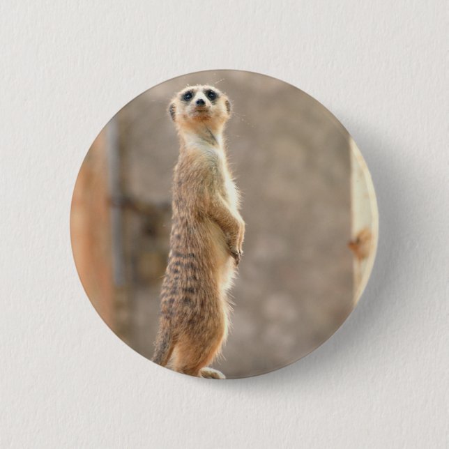 Badge Rond 5 Cm Meerkat au bouton d'attention (Devant)