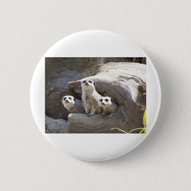 Badge Rond 5 Cm Meerkats (Devant)
