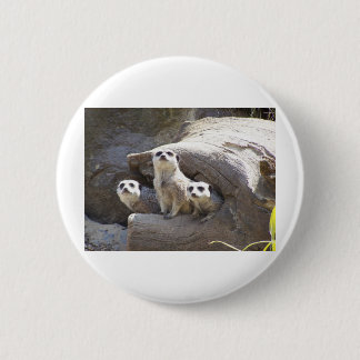 Badge Rond 5 Cm Meerkats