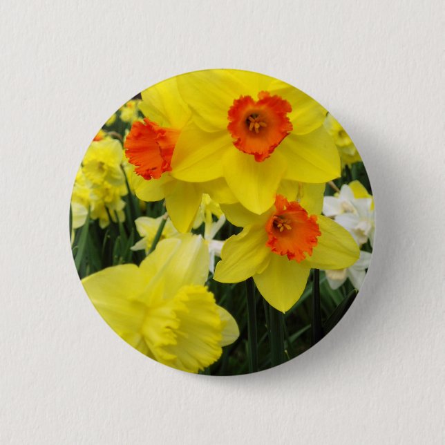Badge Rond 5 Cm Mélange de jonquille simple (Devant)