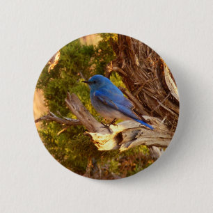 Badge Rond 5 Cm Merlebleu azuré à Arches National Park
