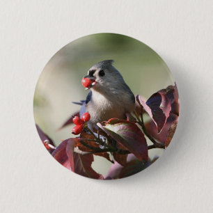 Badge Rond 5 Cm mésange tuftée avec la baie