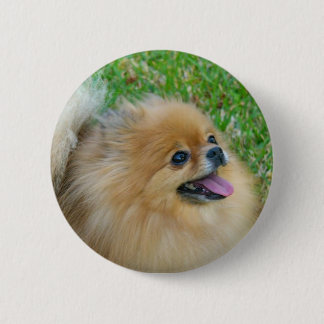 Badge Rond 5 Cm Mignon comme bouton blond