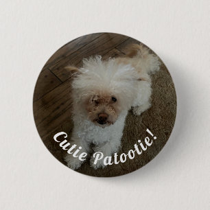 Badge Rond 5 Cm Mignon tout plein