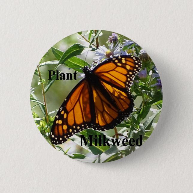 Badge Rond 5 Cm Milkweed de plante (Devant)