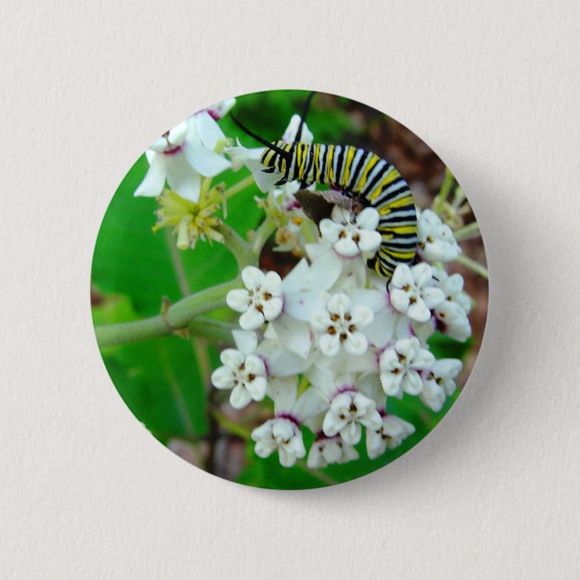 Badge Rond 5 Cm Milkweed et monarque (Devant)