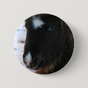 Badge Rond 5 Cm Mini Horse adorable Filly