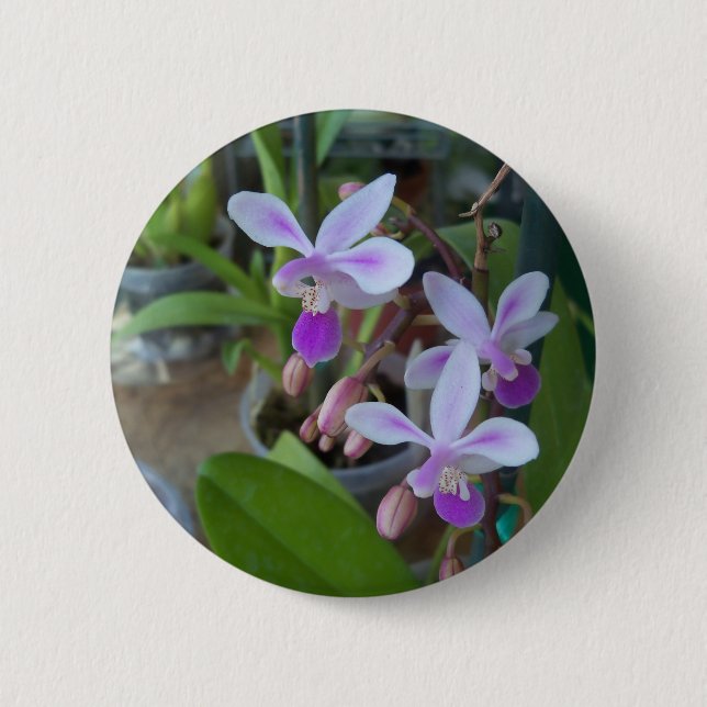 Badge Rond 5 Cm mini orchidées phales (Devant)