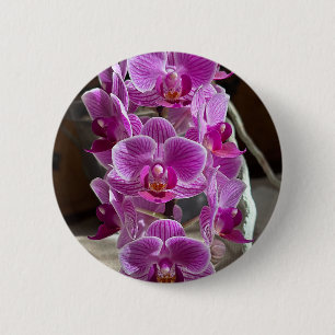 Badge Rond 5 Cm Mini Phalaenopsis Sogo Vivien Orchidée violet
