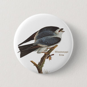 Badge Rond 5 Cm Mississippi Kite, l'oiseau de John James Audubon B