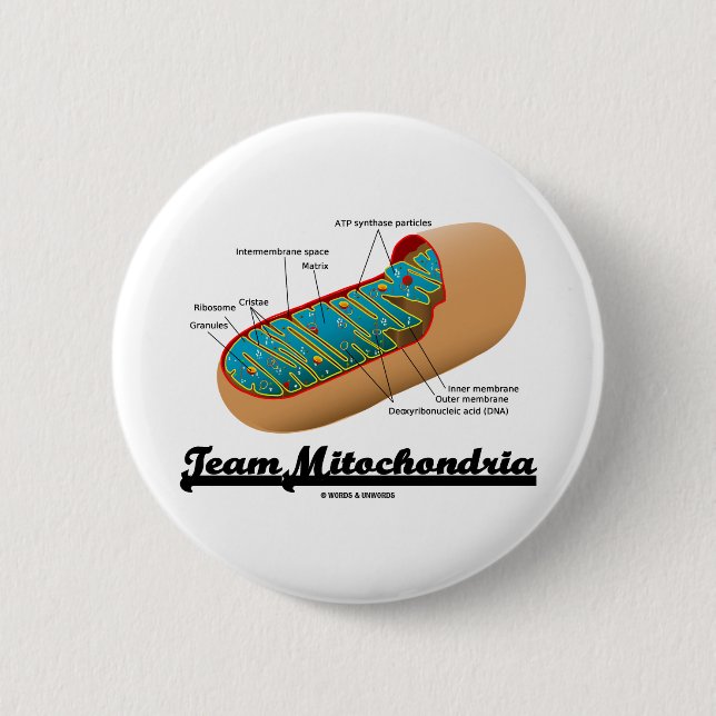 Badge Rond 5 Cm Mitochondries d'équipe (humour de mitochondrie) (Devant)