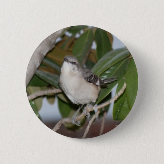 Badge Rond 5 Cm Mockingbutton - moqueur du nord sur la magnolia (Devant)
