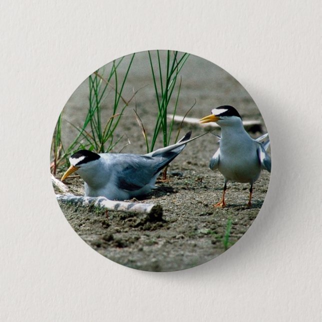 Badge Rond 5 Cm Moindres sternes (Devant)