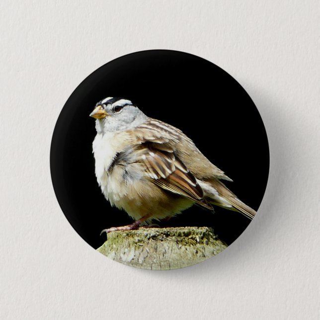 Badge Rond 5 Cm Moineau de chanson couronné par blanc (Devant)