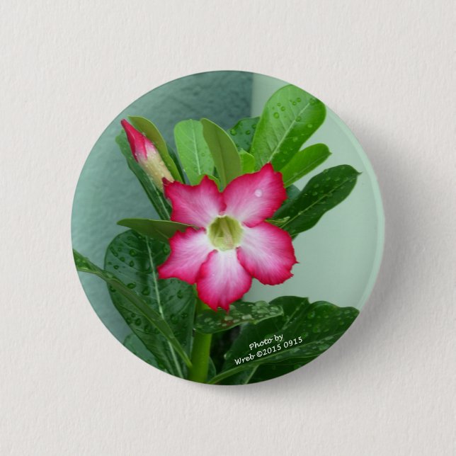 Badge Rond 5 Cm Mon rose de désert (Devant)