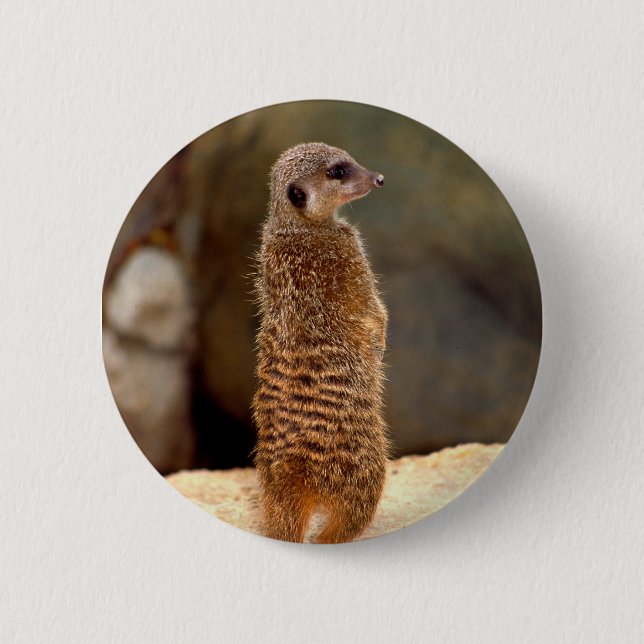 Badge Rond 5 Cm Mongoose10 (Devant)