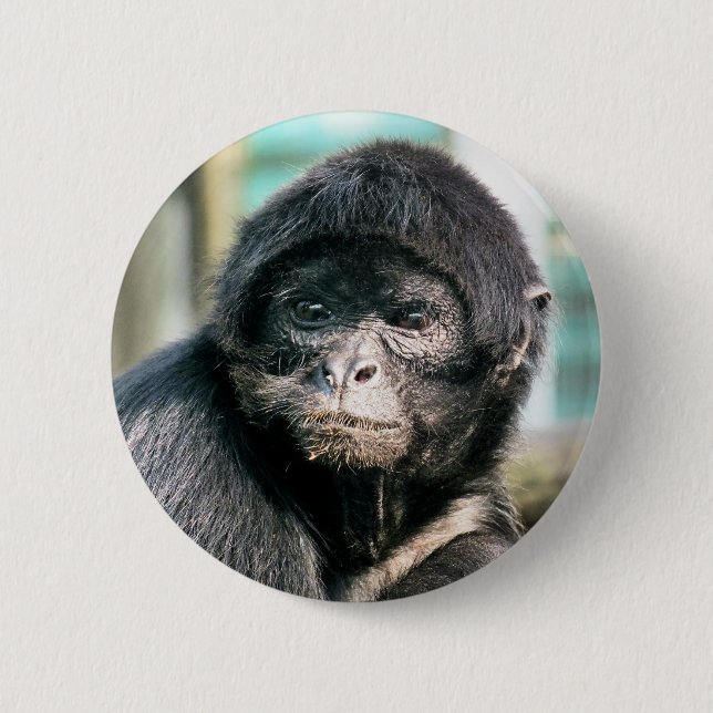 BADGE ROND 5 CM MONKEY (Devant)