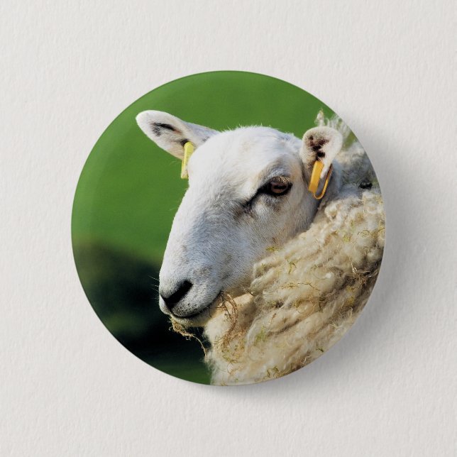 BADGE ROND 5 CM MOQUETTE (Devant)