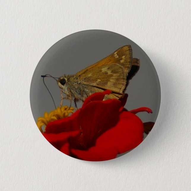 Badge Rond 5 Cm Moth (Devant)