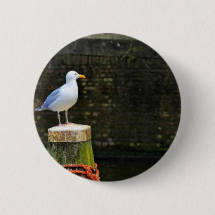 Badge Rond 5 Cm Mouette