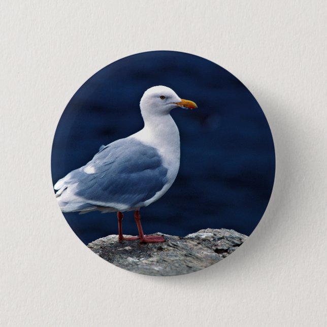 Badge Rond 5 Cm Mouette Glaucous (Devant)