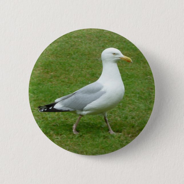 Badge Rond 5 Cm Mouette marchant dans le parc (Devant)