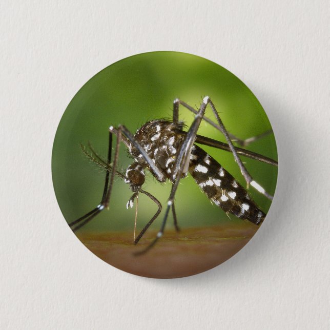Badge Rond 5 Cm Moustique tigre (Devant)