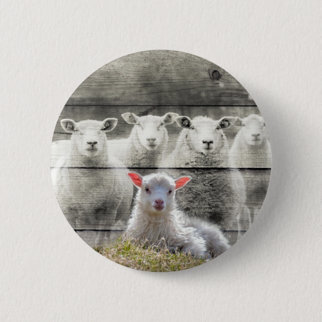 Badge Rond 5 Cm Mouton d'agneau de bébé (Devant)