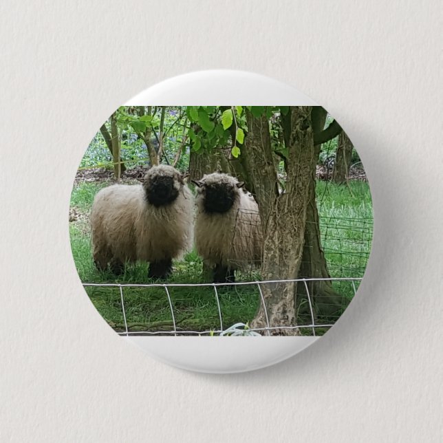 Badge Rond 5 Cm Mouton mignon (Devant)