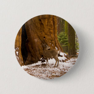 Badge Rond 5 Cm Mule Deer