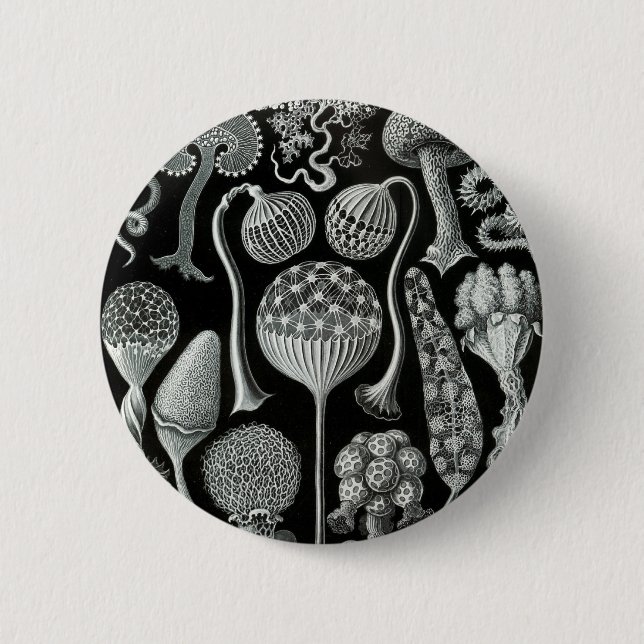 Badge Rond 5 Cm Mycetozoa d'Ernst Haeckel (Devant)