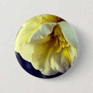 Badge Rond 5 Cm Narcissus Daffodil