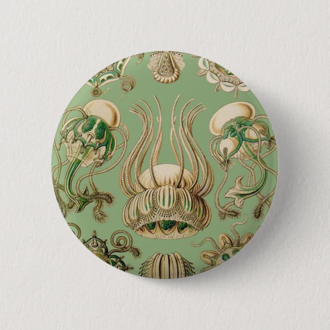 Badge Rond 5 Cm Narcomedusae d'Ernst Haeckel (Devant)