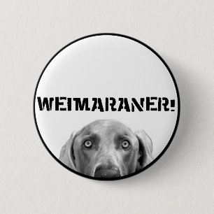 Badge Rond 5 Cm Nation de Weimaraner : Weimaraner dans une boîte 
