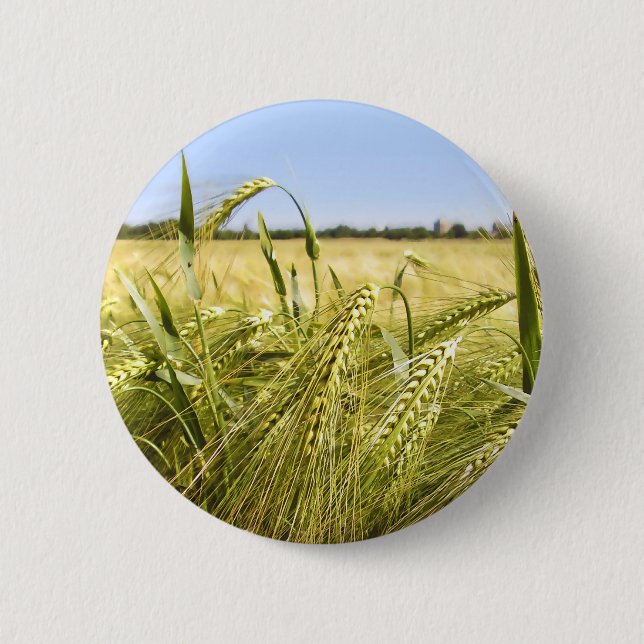 Badge Rond 5 Cm Nature botanique du grain de seigle (Devant)