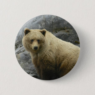 Badge Rond 5 Cm Nature de destin d'animaux de l'Alaska d'ours