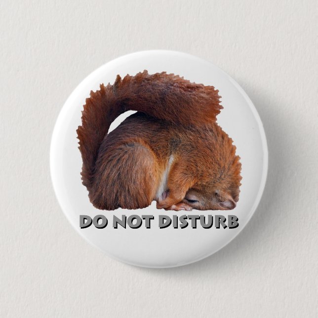 Badge Rond 5 Cm Ne pas déranger l'insigne (Devant)