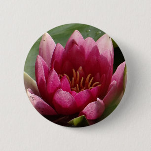 Badge Rond 5 Cm Nénuphar rose