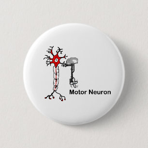 Badge Rond 5 Cm Neuron moteur