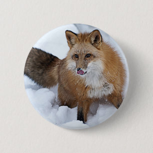 Badge Rond 5 Cm Ni de Fox rouge la neige